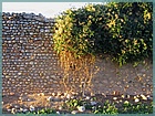 IMG_7946.JPGruines, ruins