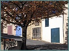 valensole